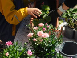DSCN1787
